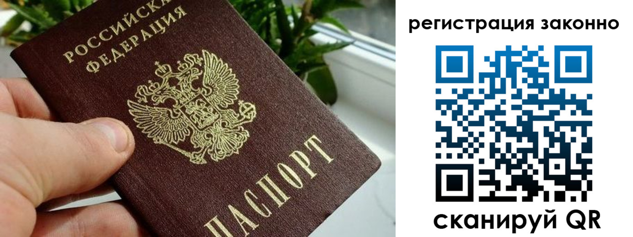прописка гарантия в Чудово